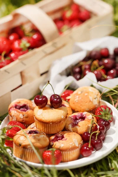 Summer muffins — Stock Photo, Image