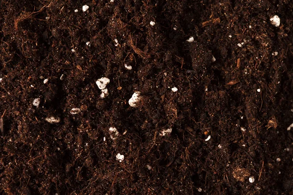 白で土壌 — ストック写真