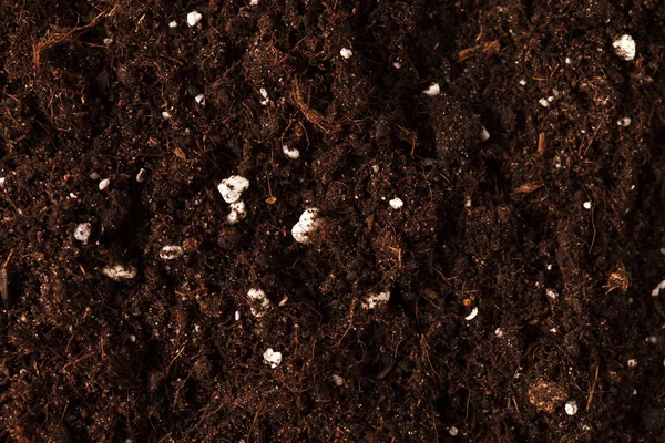 Soil on the white — Stock Photo, Image