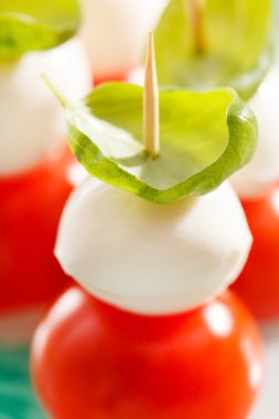 domates ve mozzarella