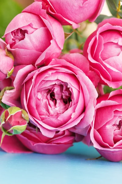 Pink roses — Stock Photo, Image