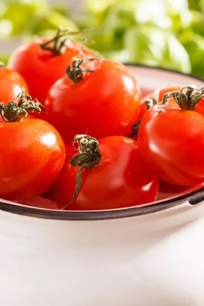 Tomates cerises fraîches — Photo