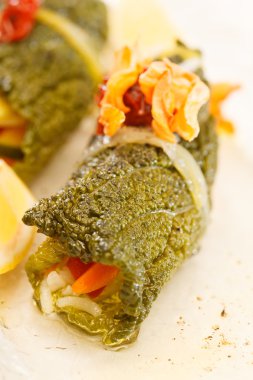 Savoy lahana dolması ile sebze yaprakları