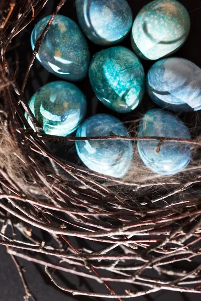 Huevos azules en el nido — Foto de Stock