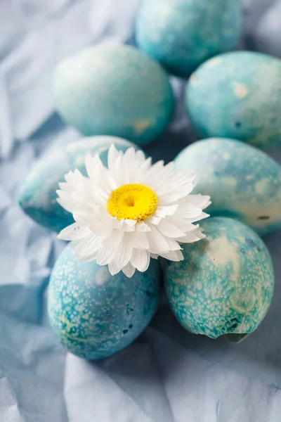 Uova di Pasqua blu — Foto Stock