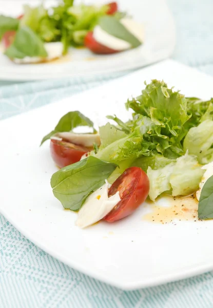 Sallad med mozzarella, tomater och basilika — Stockfoto