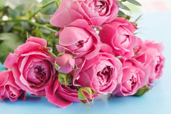 Roze rozen — Stockfoto