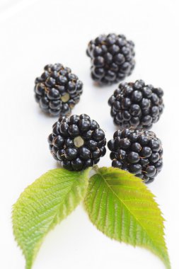 Dewberries (böğürtlen) ve yeşil yaprakları