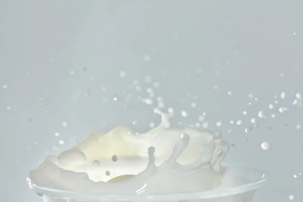 Splash dans un verre de lait — Photo