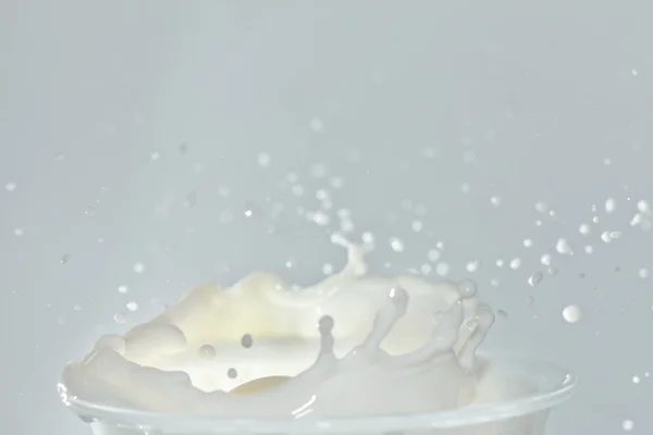 Splash in a milk glass — Stock Photo, Image