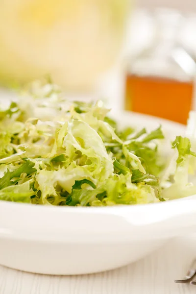 Springa salad — Stock Photo, Image