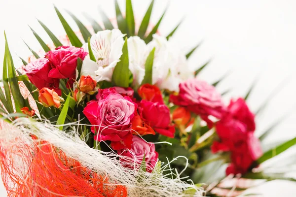 Schöne Blumen — Stockfoto