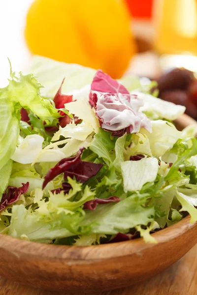 Spring salad — Stock Photo, Image