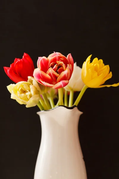 Приємні тюльпани — стокове фото