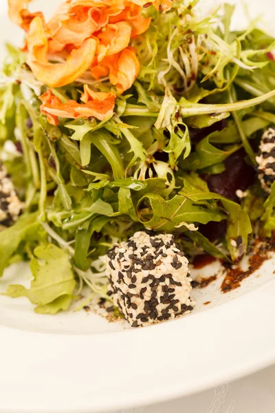 Salade met rucola en kaas — Stockfoto