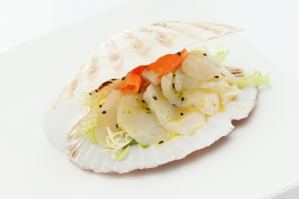 Scallops served in a shell — Stock Photo, Image