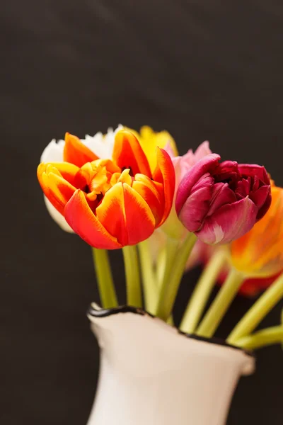 Bonitos tulipanes — Foto de Stock