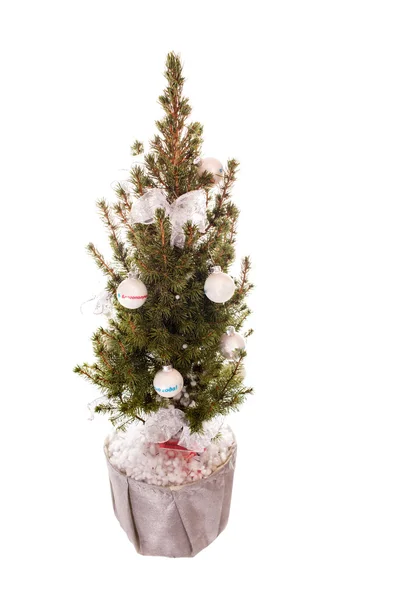 Kleine kerstboom — Stockfoto