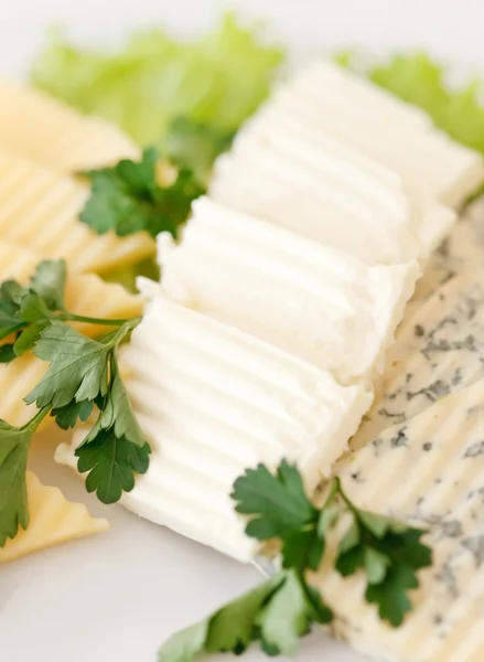 Assiette de fromage — Photo