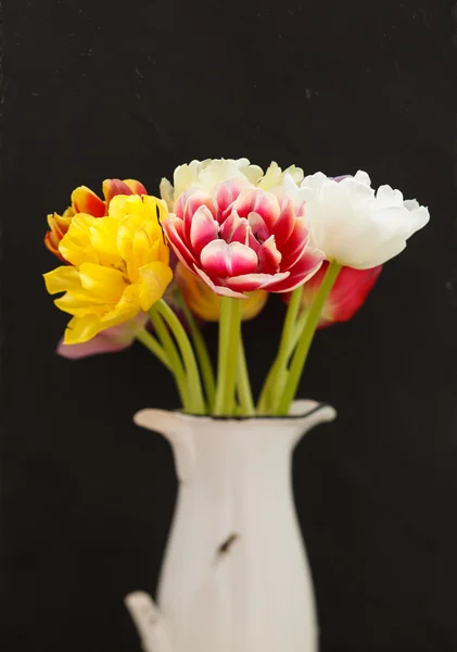 Bonitos tulipanes — Foto de Stock