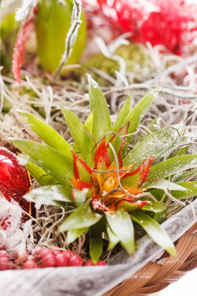 Natuur achtergrond — Stockfoto