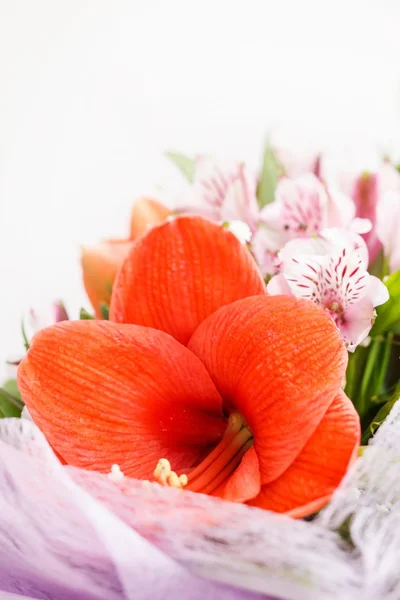 Çiçek buketi — Stok fotoğraf