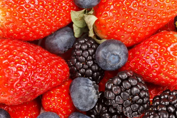 Fresh berries — Stock Photo, Image