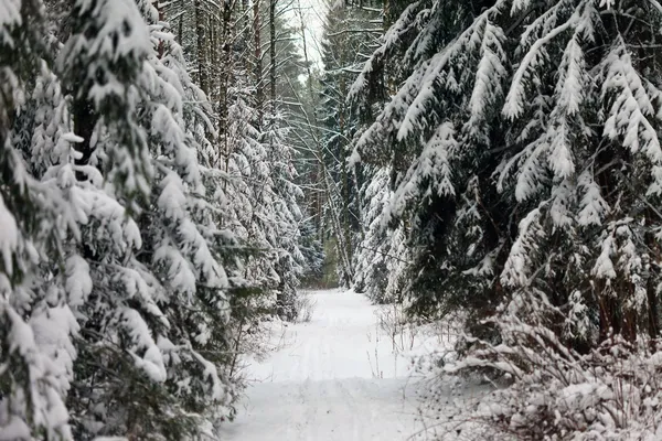 Paesaggio invernale — Foto Stock