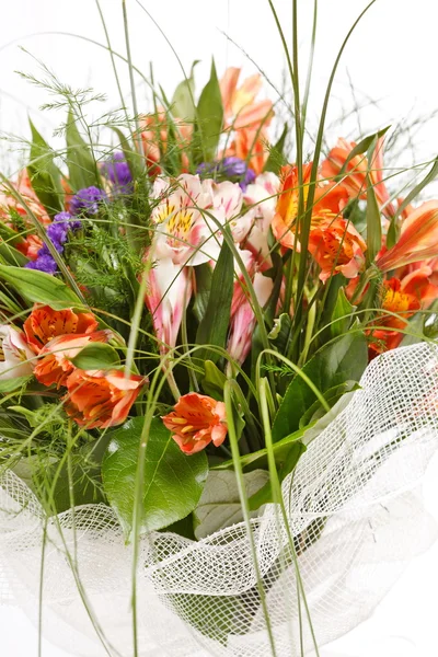 Schöne Blumen — Stockfoto