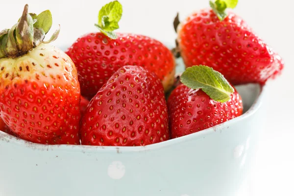 Frische Erdbeeren — Stockfoto