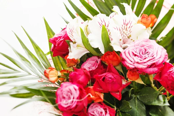 Nice flowers — Stock Photo, Image