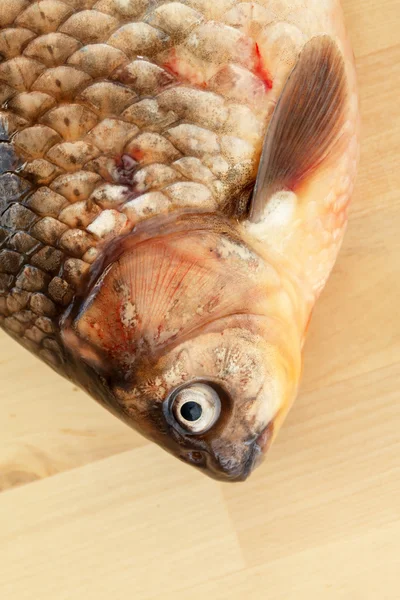 Crucian carp — Stock Photo, Image