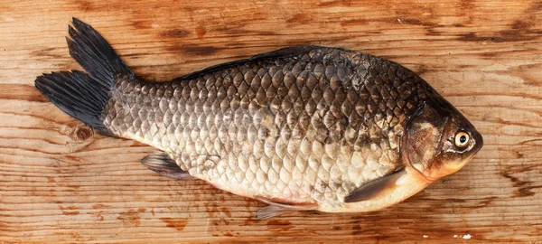 Crucian carp — Stock Image Crucian carp Stock Photo