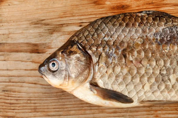 Crucian carp — Stock Image Crucian carp Royalty Free Stock Photos