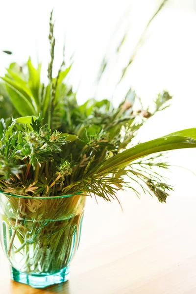 Summer grass in a glass — Stock Photo, Image