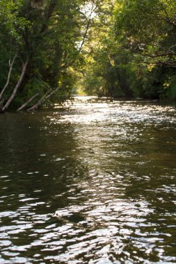 Orman Nehri