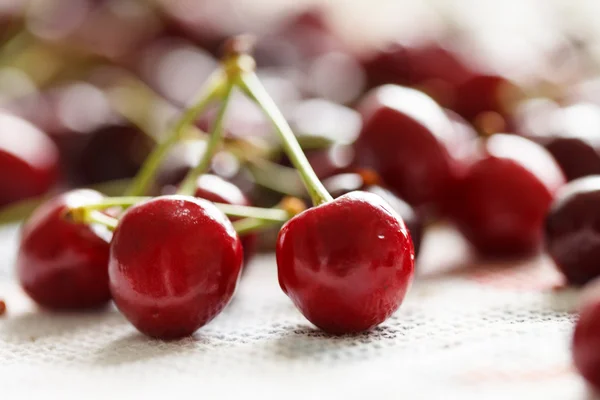 Fresh cherries — Stock Photo, Image