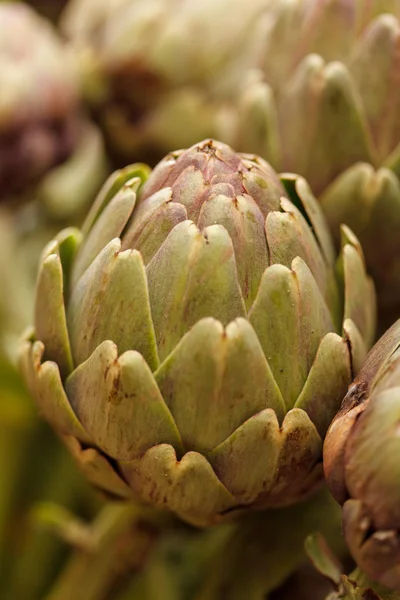 Artichoke — Stock Photo, Image