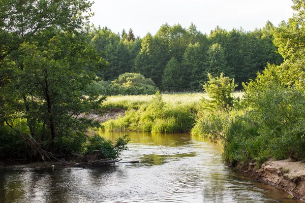 Fiume estivo — Foto Stock