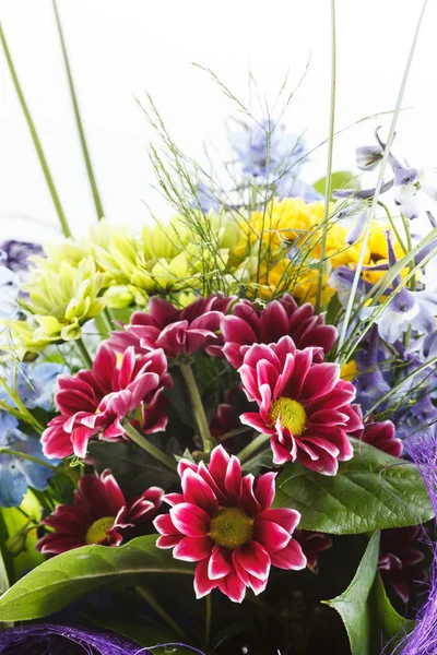 Schöne Blumen — Stockfoto