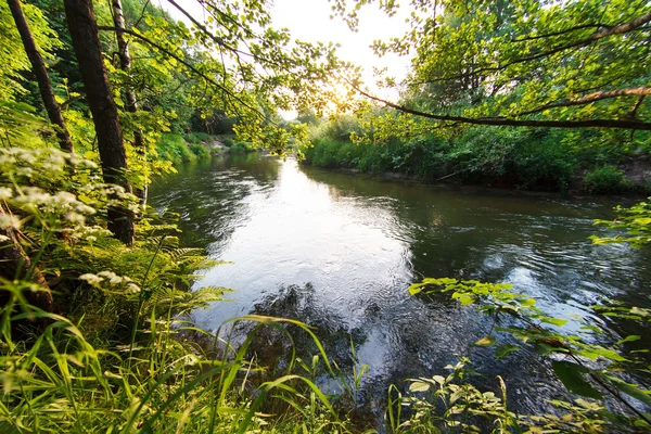 Zomer landschap — Stockfoto