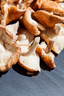 shiitake mantarları