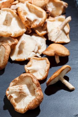 Shiitake Mushrooms clipart