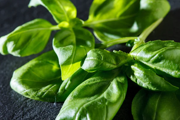 Fresh basil — Stock Photo, Image