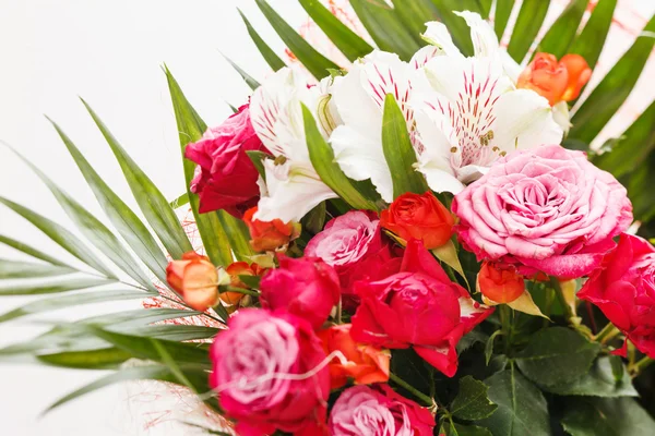 Schöne Blumen — Stockfoto