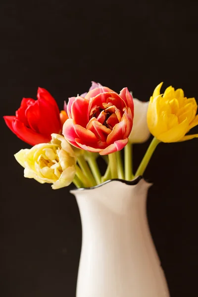 Schöne Tulpen — Stockfoto