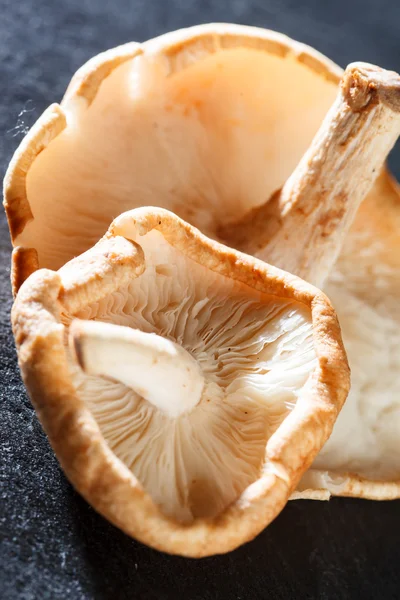 Shiitake Mushrooms — Stock Photo, Image