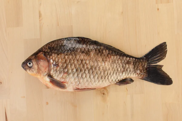 Crucian carp — Stock Photo, Image