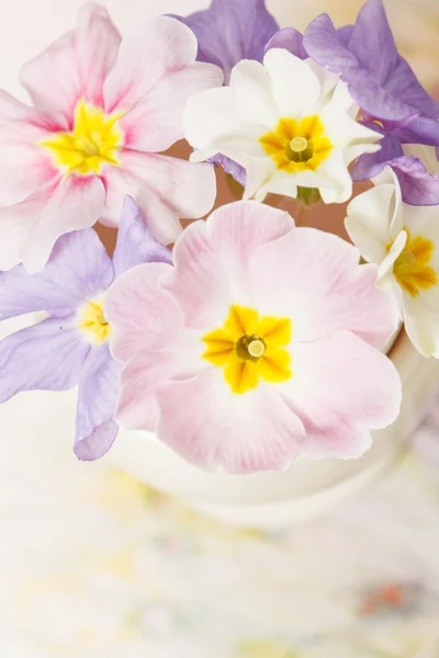 Flores de primavera — Fotografia de Stock