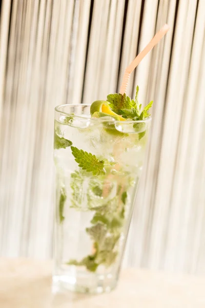 Mojito cocktail — Stock Photo, Image